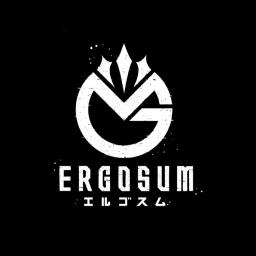 ERGOSUM
